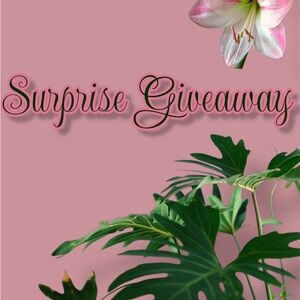 Surprise Giveaway🥳